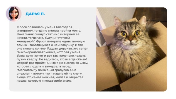 Неказистые, косоглазые и такие любимые. Как в нашей жизни появляются котята