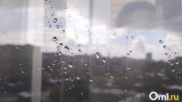 До конца недели Омскую область накроют затяжные дожди