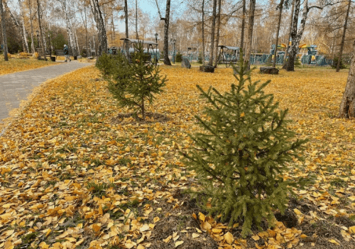 Фадина попыталась оправдаться: «Коллеги, это не тот случай, когда можно отмолчаться»