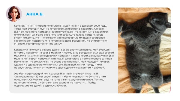 Неказистые, косоглазые и такие любимые. Как в нашей жизни появляются котята