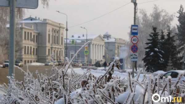 Туманы и морозы: омичей ждут изменения погоды в середине марта