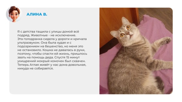 Неказистые, косоглазые и такие любимые. Как в нашей жизни появляются котята