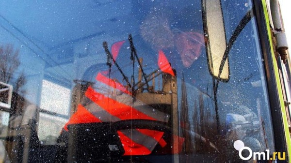 Синоптики предсказали омичам похолодание в середине марта до -28