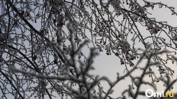 Понижение до -22 и снег. Зима в Омске ещё покажет характер