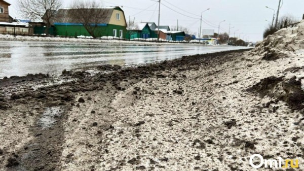 В Омской области топит посёлок у Иртыша