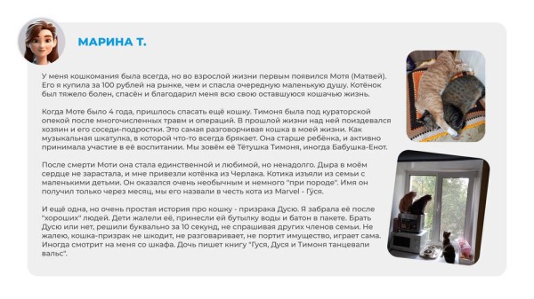 Неказистые, косоглазые и такие любимые. Как в нашей жизни появляются котята