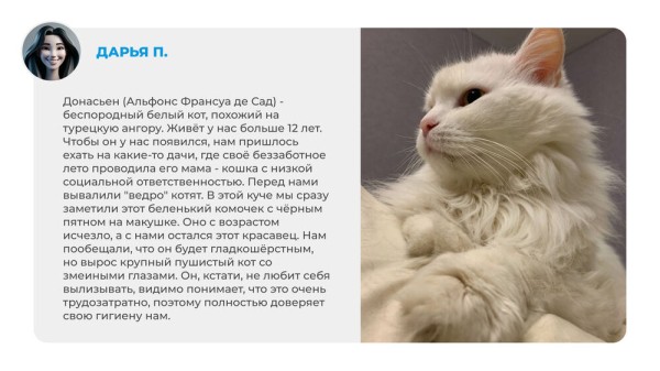 Неказистые, косоглазые и такие любимые. Как в нашей жизни появляются котята