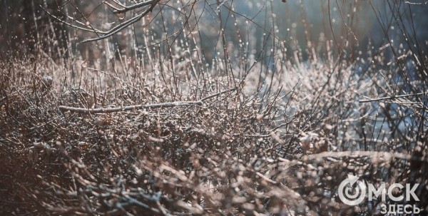 Омичи встретят Масленицу при плюсовой температуре Омичи встретят Масленицу при плюсовой температуре