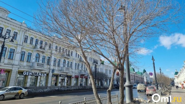 К выходным в Омскую область вернутся морозы и снегопады