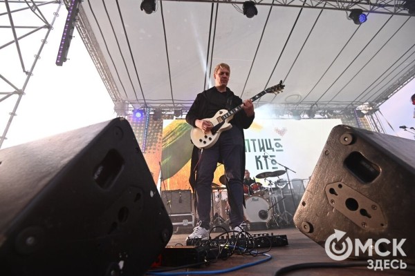 Фестиваль "Тарская крепость" в этом году не состоится