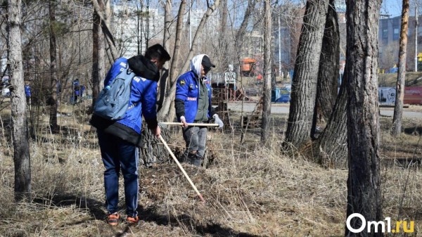 Городской субботник в Омске пройдёт меньше, чем через месяц