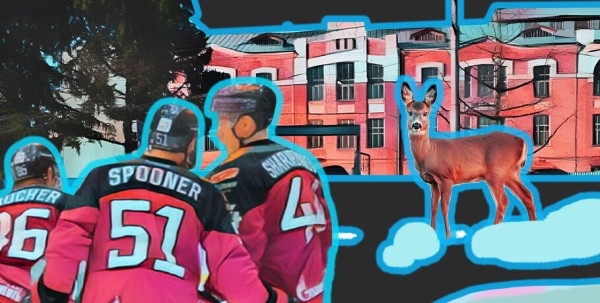 Чем запомнился февраль? Флешбэки по омским новостям