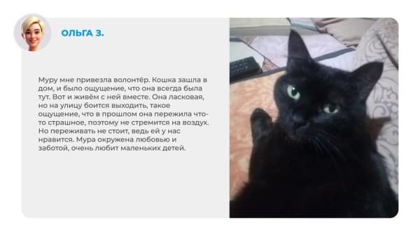 Неказистые, косоглазые и такие любимые. Как в нашей жизни появляются котята