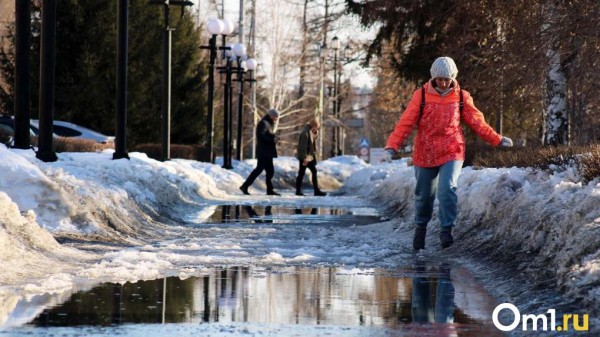 На следующей неделе в Омске потеплеет до +15