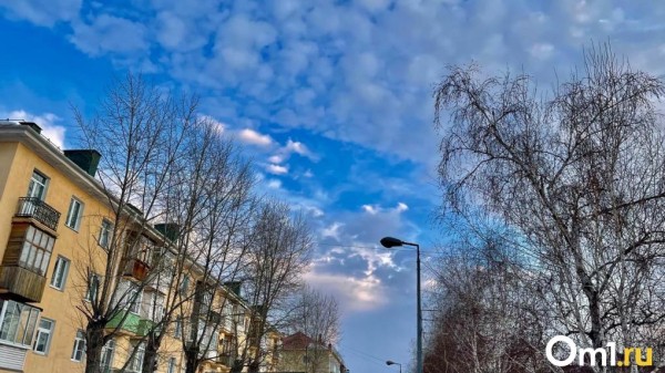 Гололёд и снежные заносы: синоптики рассказали о погоде на выходных в Омске