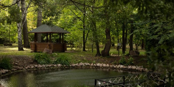 В Омском дендросаду планировали "высадить" деревья из мозаики