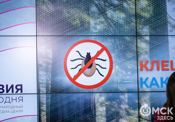 Симптомы, похожие на грипп. Какие инфекции передаются с укусами омских клещей Симптомы, похожие на грипп. Какие инфекции передаются с укусами омских клещей