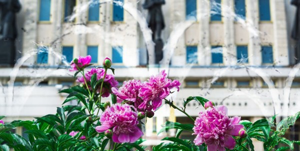 В Омске вспомнили об идее восстановить каскадный фонтан у Пушкинки