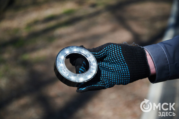 Соревнуясь, наводить чистоту. Омичи пробежались с мусорными пакетами по "Зелёному острову"