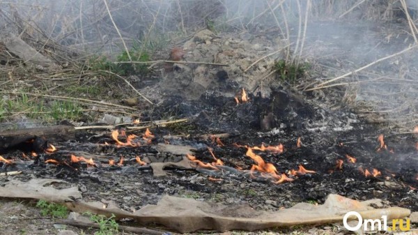 В Омской области установлен особый противопожарный режим