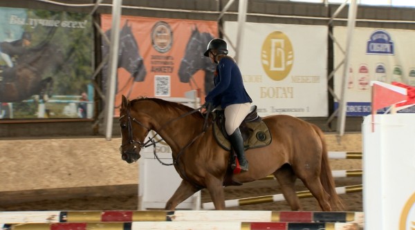 "Вредный, как принцесса!" Как найти общий язык с лошадью и вместе побеждать