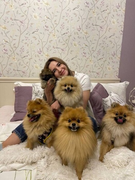 Джакузи для козы и окрас "под тигра" для дворняжки. Кто делает питомцам лапакюр?