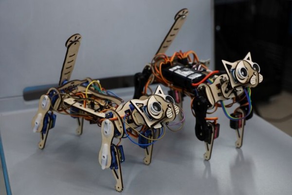 Робота-кота собрали омские студенты. Он машет хвостиком и тренирует людей Робота-кота собрали омские студенты. Он машет хвостиком и тренирует людей