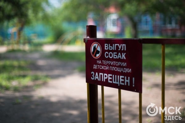 Весна показала, кто хороший мальчик: в Омске запустили необычный опрос о "подарках" на газоне