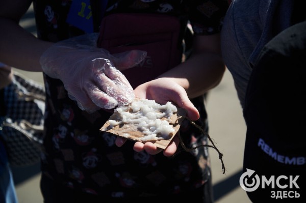 Соревнуясь, наводить чистоту. Омичи пробежались с мусорными пакетами по "Зелёному острову"