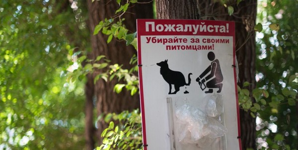 Весна показала, кто хороший мальчик: в Омске запустили необычный опрос о "подарках" на газоне