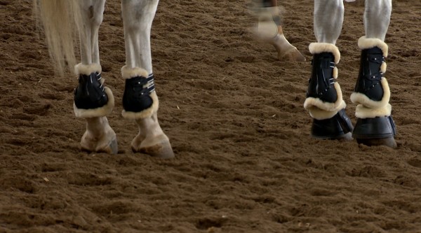 "Вредный, как принцесса!" Как найти общий язык с лошадью и вместе побеждать