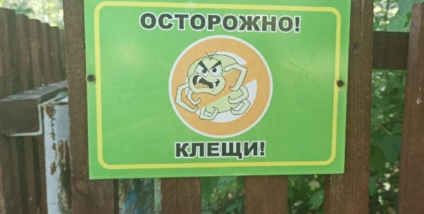 Симптомы, похожие на грипп. Какие инфекции передаются с укусами омских клещей Симптомы, похожие на грипп. Какие инфекции передаются с укусами омских клещей