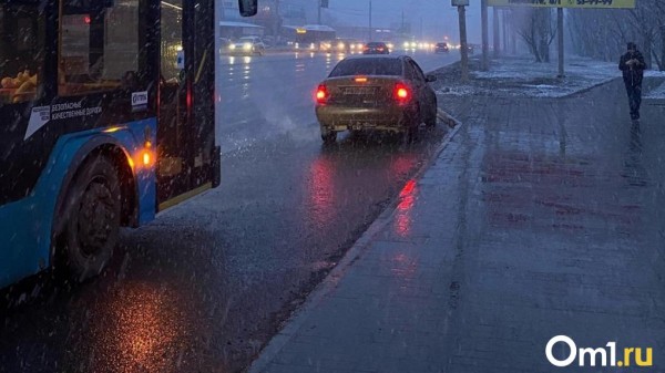 К 9 мая в Омскую область придёт мощный снегопад