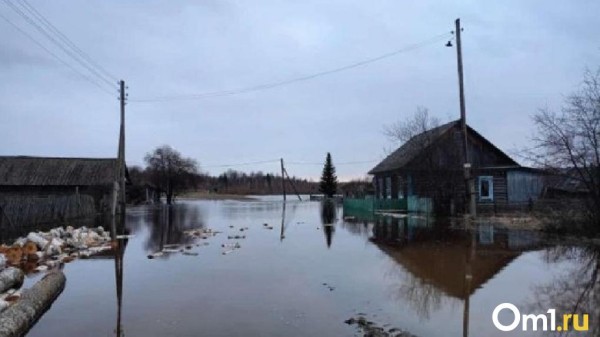 Появилось фото из затопленного Васисса Появилось фото из затопленного Васисса