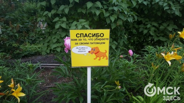 Весна показала, кто хороший мальчик: в Омске запустили необычный опрос о "подарках" на газоне