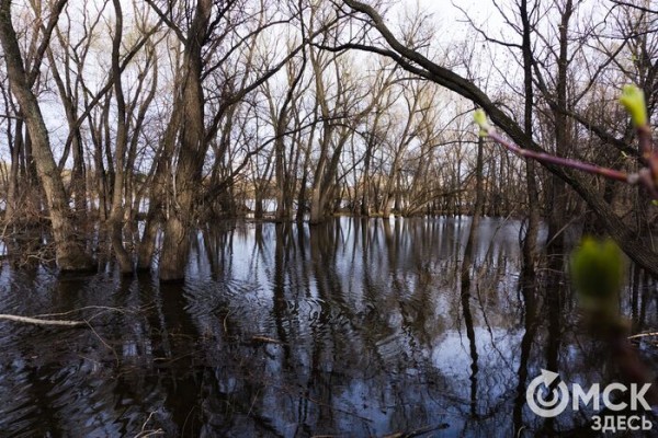 Путешествие в озёрный край: на "Зелёном острове" появились незапланированные водоёмы