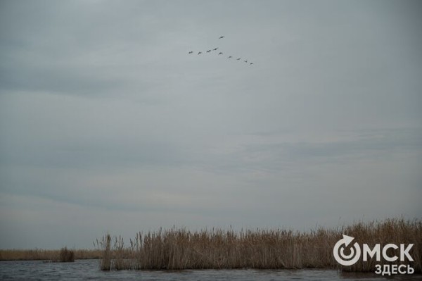 Одиннадцать тысяч кадров, нарисованных вручную. Омские школьники сняли мультфильм о доме под тёплым крылом
