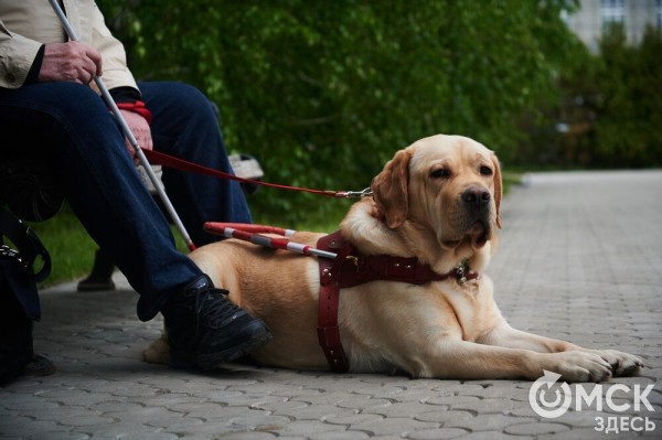Первый памятник поэту Аркадию Кутилову, до сих пор вызывающему споры, открыли в Омске