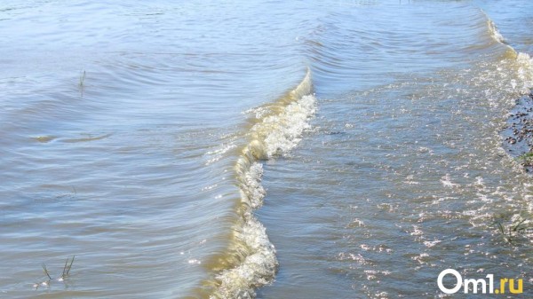 Метеорологи рассказали, дойдёт ли большой паводок до Омска