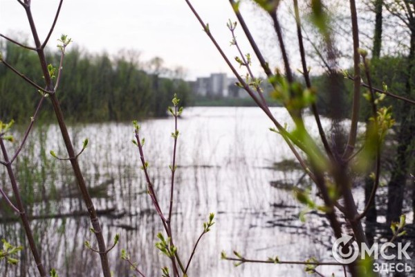 Путешествие в озёрный край: на "Зелёном острове" появились незапланированные водоёмы