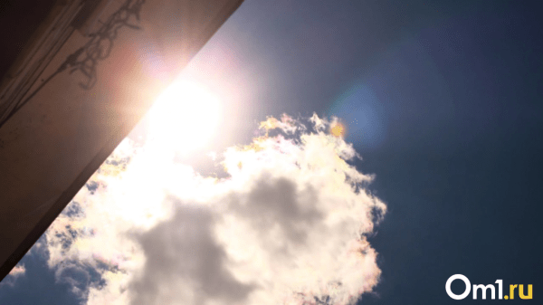 Лето будет жарким: в Омске потеплеет до +30 Лето будет жарким: в Омске потеплеет до +30