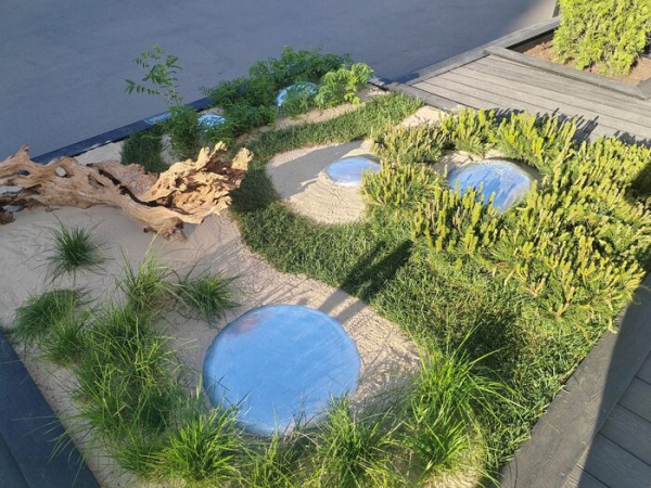 Омский ландшафт на ВДНХ: кровохлёбка, щучка и сосна Омский ландшафт на ВДНХ: кровохлёбка, щучка и сосна