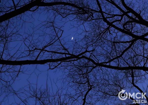 Главный астроном Омска рассказал, что ждёт нас в 2024 году