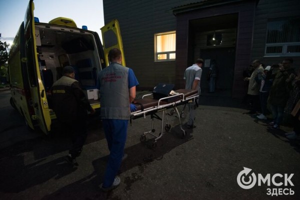 Лось на дороге и лихие самокатчики. Из-за чего омичи чаще попадают в ДТП