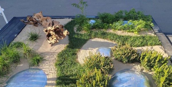 Омский ландшафт на ВДНХ: кровохлёбка, щучка и сосна Омский ландшафт на ВДНХ: кровохлёбка, щучка и сосна