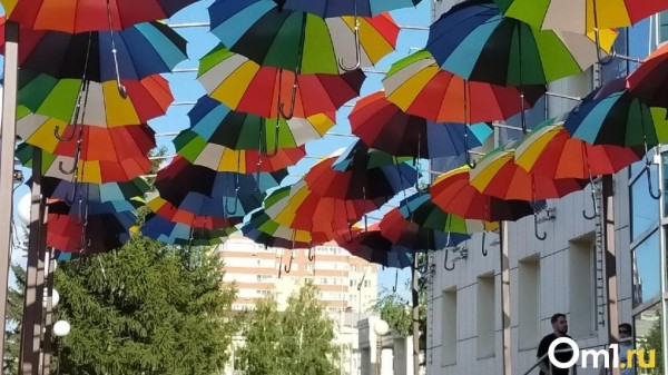 В Росгидрометцентре дали грустный прогноз на лето в Омске В Росгидрометцентре дали грустный прогноз на лето в Омске