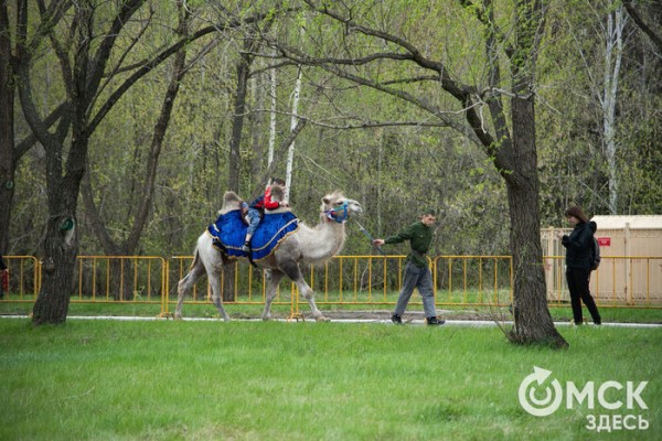 Ни дождь, ни ветер не помешали омичам отметить 9 Мая в парке Победы
