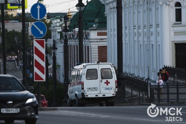 Лось на дороге и лихие самокатчики. Из-за чего омичи чаще попадают в ДТП