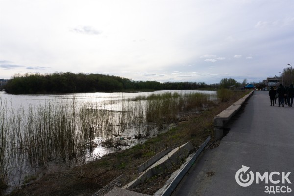 Путешествие в озёрный край: на "Зелёном острове" появились незапланированные водоёмы