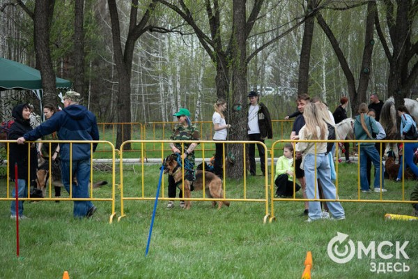 Ни дождь, ни ветер не помешали омичам отметить 9 Мая в парке Победы